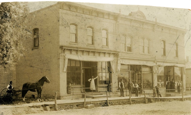 Horse, Building, Working animal, Facade