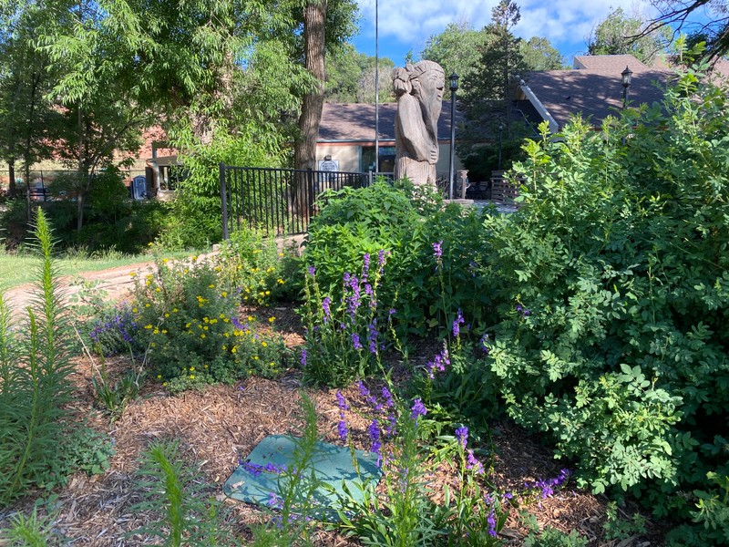 Plant, Flower, Plant community, Cloud