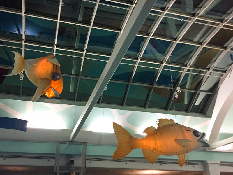 Light, Orange, Aircraft, Air travel