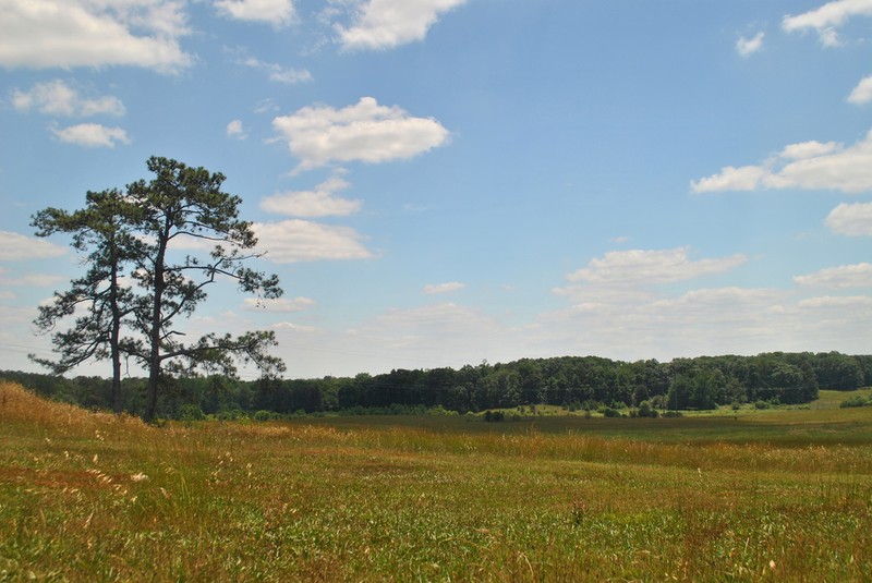 Nash Farm Battlefield