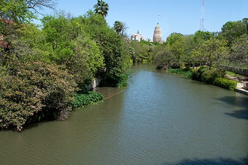 Water, Sky, Water resources, Plant