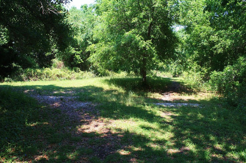 Some of the shell middens at Indian Mound Park