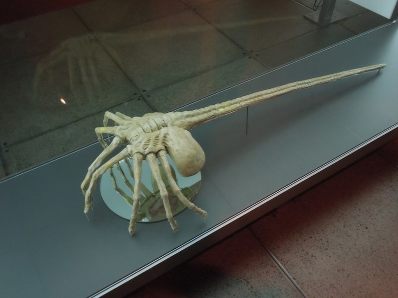 Yes, it's that thing from "Alien." Quick, cover your mouth.