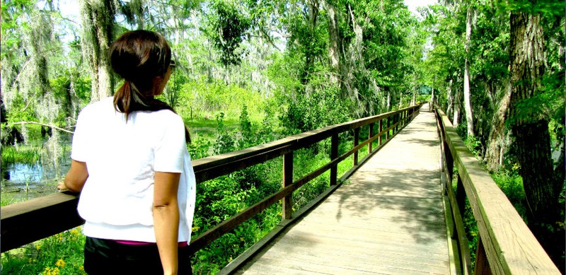 A section of the Jean Lafitte Nature Trail located behind the museum.