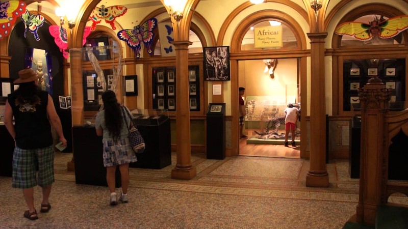 Inside the Roger Williams Park Museum of Natural History 