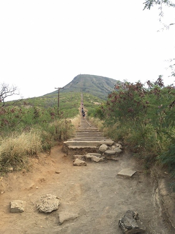 The bottom (start) to the top of Koko Head