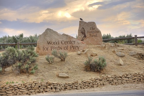 Entrance to the World Center For Birds of Prey