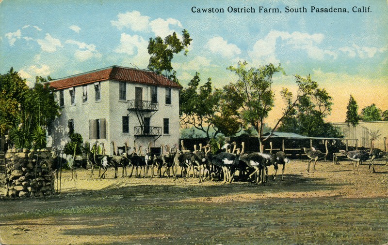 View of Cawston's Farm (www.image-archeology.com)