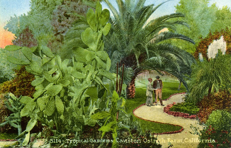 The tropical gardens (www.image-archeology.com)