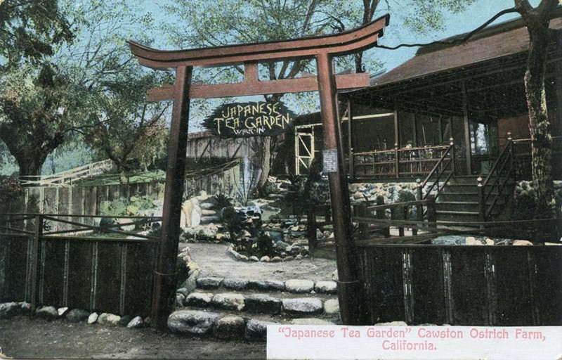 The Japanese tea house at Cawston's Farm (www.image-archeology.com)