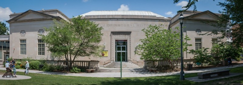 The Springfield Science Museum