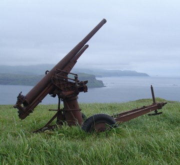 The largest intact collection of Japanese artillery pieces in the world is on Kiska Island. Remnants of Japanese coastal defenses are found on the Kiska and Attu portions of the Monument. 