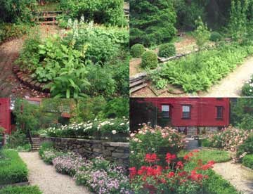 Shakespeare's Head Colonial garden (image from Providence Preservation Society of Rhode Island)