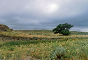 The site of the Sand Creek Massacre