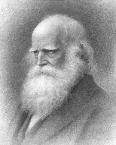 Portrait of the park's namesake, William Cullen Bryant (image from Bryant Park official website)