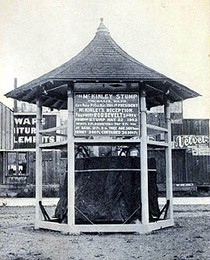 The stump which first made the site famous. 