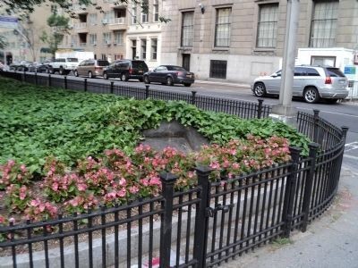 Mary Lindley Murray historic marker, located in the median of Park Avenue