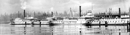 A number of boats from the Mosquito fleet at dock.