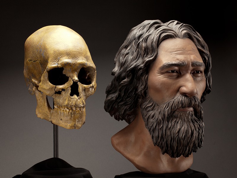 Artist creation of what Kennewick Man may have looked like