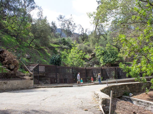 Pedestrian, Jungle, Trail, Path