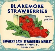 Advertisement for Strawberry Market at Chalybeate Springs