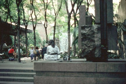 Greenacre Park (image from the Project for Public Spaces)