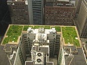 Views of the building's rooftop garden