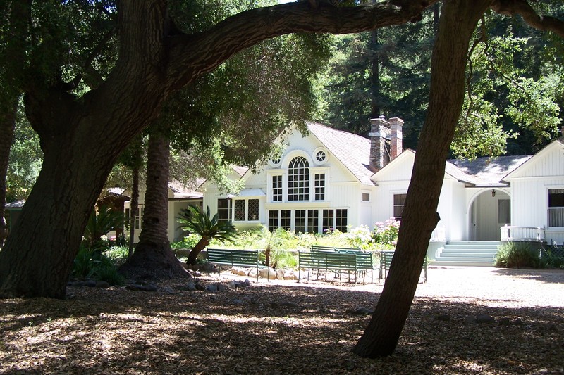 The Arden house seen through the resident oak trees.