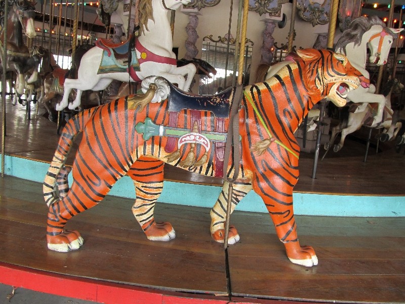 Detail of a tiger model (http://www.projectwoodhaven.com/)