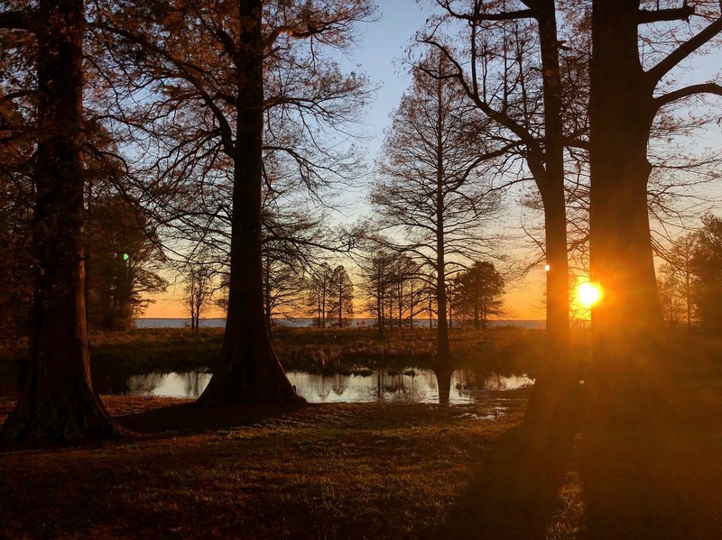 Lake Phelps from the Owner's Compound