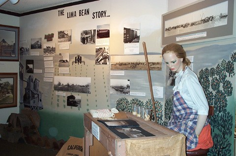 The museum's famous lima bean exhibit.