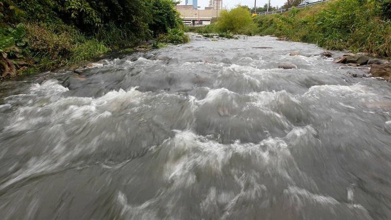 Town Branch flows to the surface just past the Cox Street parking lot near Rupp Arena and the Lexington Center after its journey through a tunnel beneath the streets of Lexington.