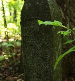 This gravestone marks the resting place of Elsie M. McComas, who died in 1909, three months before reaching her second birthday.