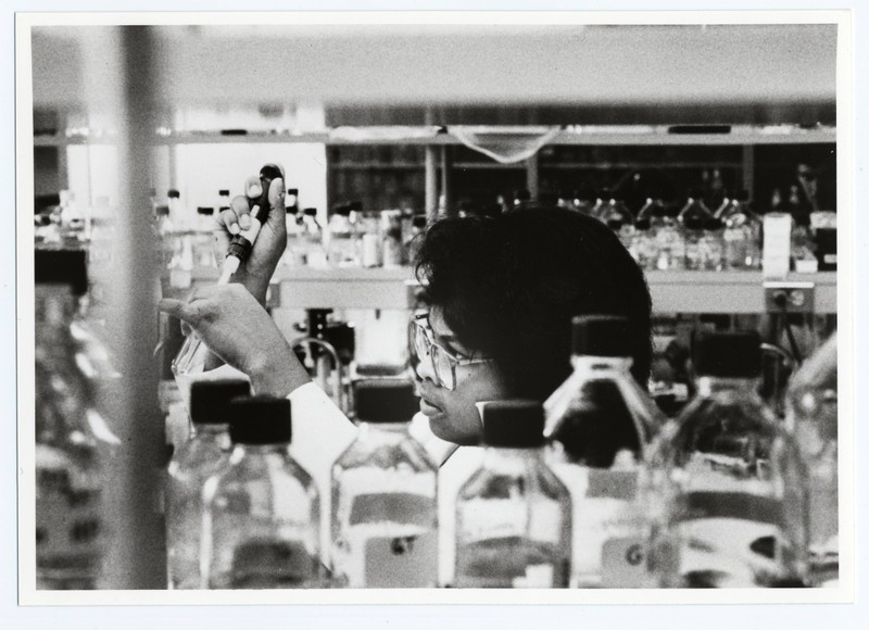 View of a researcher working in a laboratory, seen through an open shelf of laboratory equipment.