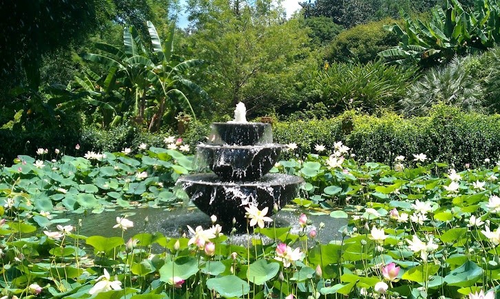 A fountain and pond set within the Rip Van Winkle Gardens.