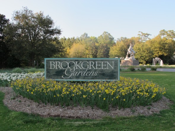 Brookgreen Gardens was established in 1931 by Anna and Archer Huntington. It is the largest outdoor sculpture garden in the country and also features a zoo.