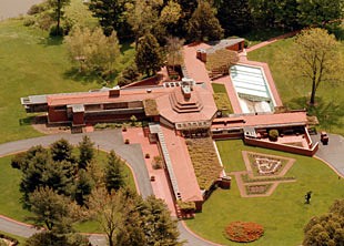 Aerial view of the plantation