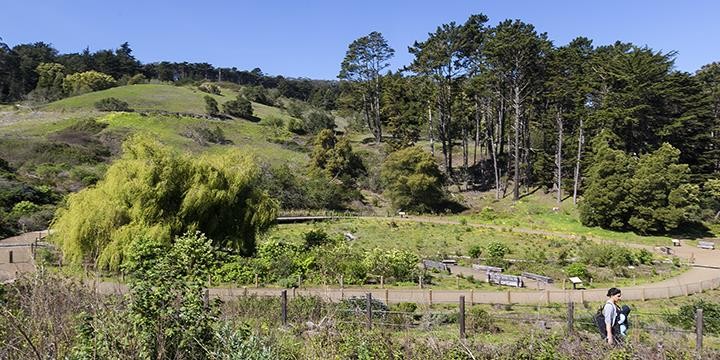 El Polín Spring, recently restored by the Presidio Trust (image from National Park Service, Presidio)