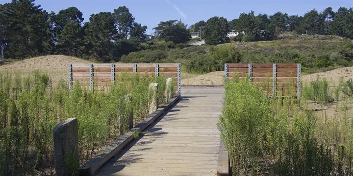 The Marine Cemetery Vista (image from National Parks Service, Presidio)