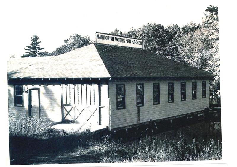 Plant, Building, Tree, Cottage