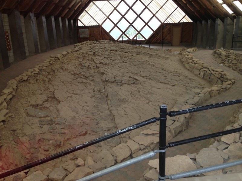 The fossil bed containing Ichthyosaur bones