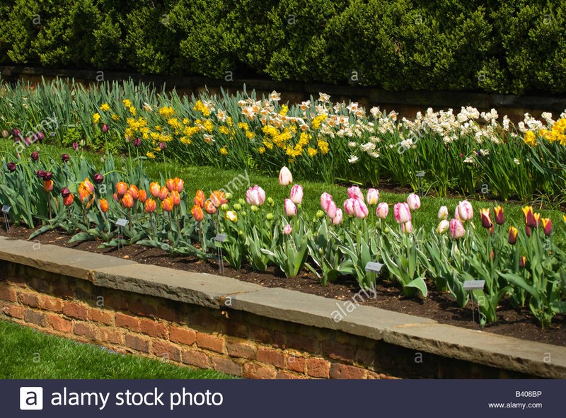 Flowers at Agecroft