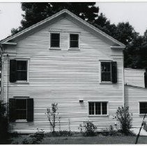 Plant, Building, Window, Property