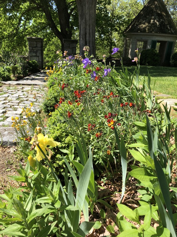 Long Walk flower beds