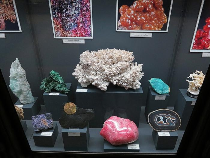 Several minerals on display