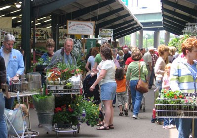 Capitol Market's exterior shopping area where local produce and goods are sold.