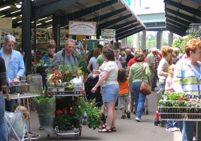 Capitol Market's exterior shopping area where local produce and goods are sold. 