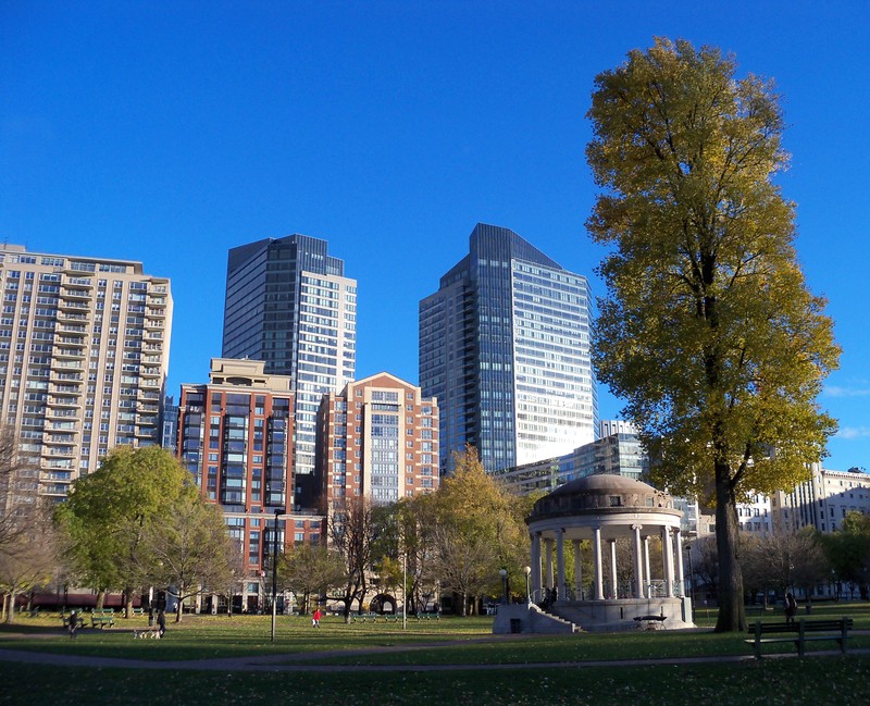 Boston Common (image from Wikimedia)