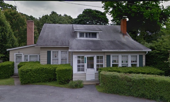 Plant, Window, Property, Tree