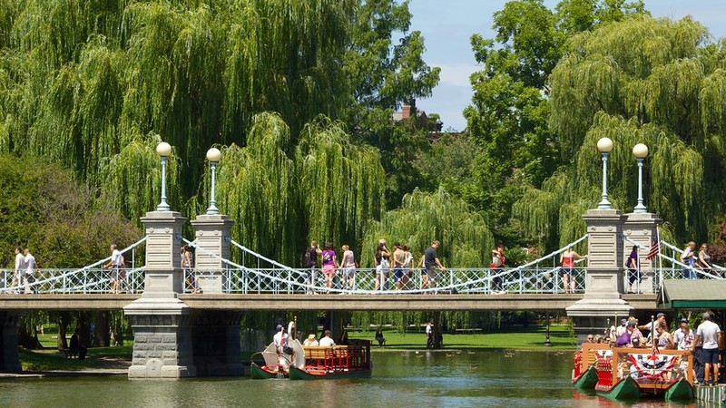 The Boston Public Garden (image from Expedia)